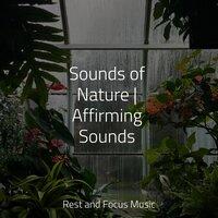 Sounds of Nature | Affirming Sounds