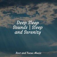 Deep Sleep Sounds | Sleep and Serenity