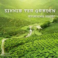 Sikkim Tea Garden, Relaxing Music
