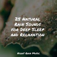25 Natural Rain Sounds for Deep Sleep and Relaxation