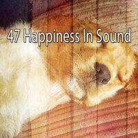 47 Happiness In Sound