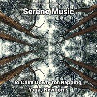 Serene Music to Calm Down, for Napping, Yoga, Newborns
