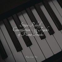 Stress Relief Compilation - 25 Tracks of Piano Tracks