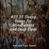 #25 25 Sleepy Songs for Mindfulness and Deep Sleep