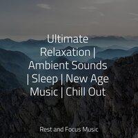 Ultimate Relaxation | Ambient Sounds | Sleep | New Age Music | Chill Out