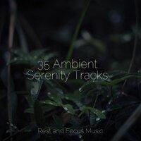 35 Ambient Serenity Tracks