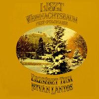 Liszt: Weihnachtsbaum & Fest-polonaise