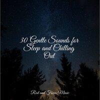 30 Gentle Sounds for Sleep and Chilling Out
