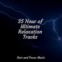 35 Hour of Ultimate Relaxation Tracks