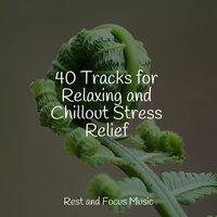 40 Tracks for Relaxing and Chillout Stress Relief