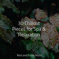 30 Chillout Pieces for Spa & Relaxation