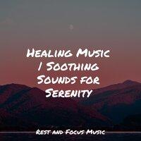 Healing Music | Soothing Sounds for Serenity