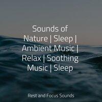 Sounds of Nature | Sleep | Ambient Music | Relax | Soothing Music | Sleep