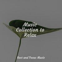 Music Collection to Relax