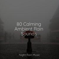 80 Calming Ambient Rain Sounds