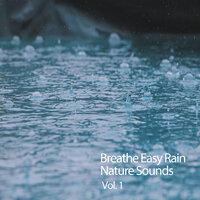 Breathe Easy Rain Nature Music  Vol. 1