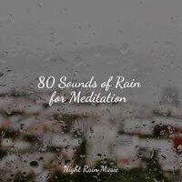 80 Sounds of Rain for Meditation