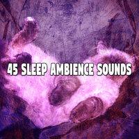 45 Sleep Ambience Sounds