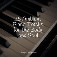 25 Ambient Piano Tracks for the Body and Soul