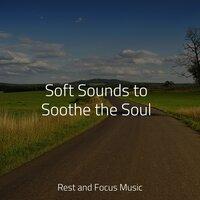 Soft Sounds to Soothe the Soul