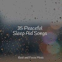 35 Peaceful Sleep Aid Songs