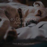 40 Comforting Ambience Tracks
