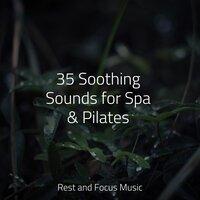 35 Soothing Sounds for Spa & Pilates