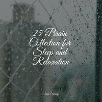 25 Brain Collection for Sleep and Relaxation