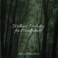 Wellness Melodies for Mindfulness