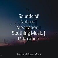 Sounds of Nature | Meditation | Soothing Music | Relaxation