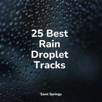 25 Best Rain Droplet Tracks
