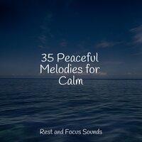 35 Peaceful Melodies for Calm