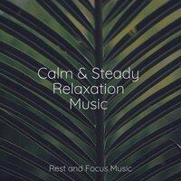 Calm & Steady Relaxation Music