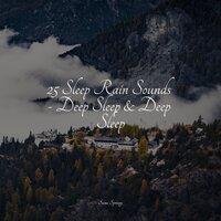 25 Sleep Rain Sounds - Deep Sleep & Deep Sleep