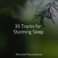 35 Tracks for Stunning Sleep