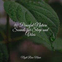80 Peaceful Nature Sounds for Sleep and Vibes