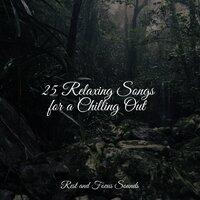 25 Relaxing Songs for a Chilling Out