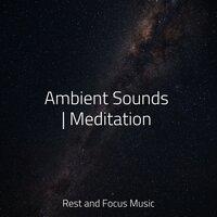 Ambient Sounds | Meditation
