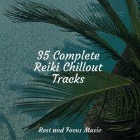 35 Complete Reiki Chillout Tracks