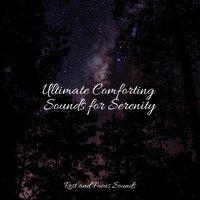 Ultimate Comforting Sounds for Serenity