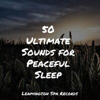 50 Ultimate Sounds for Peaceful Sleep