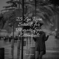 25 Zen Rain Sounds for Ultimate Spa Essentials