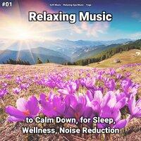 #01 Relaxing Music to Calm Down, for Sleep, Wellness, Noise Reduction