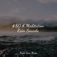 #80 A Meditation Rain Sounds