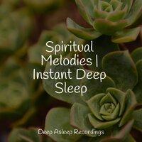 Spiritual Melodies | Instant Deep Sleep