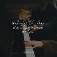 25 Tracks to Sleep Sense of 25 Tracks to Soothe the Soul
