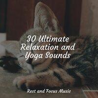30 Ultimate Relaxation and Yoga Sounds