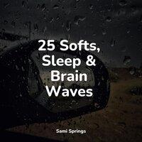 25 Softs, Sleep & Brain Waves