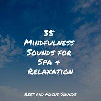 35 Mindfulness Sounds for Spa & Relaxation