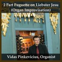 2 Part Fuguette on Liebster Jesu (Organ Improvisation)